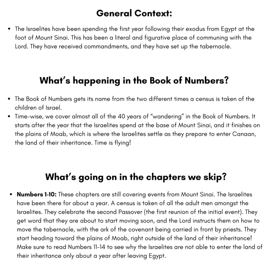*Old Testament (Q2 Apr-Jun) Big Picture/Little Picture Study Guide *DIGITAL DOWNLOAD* - Image 4