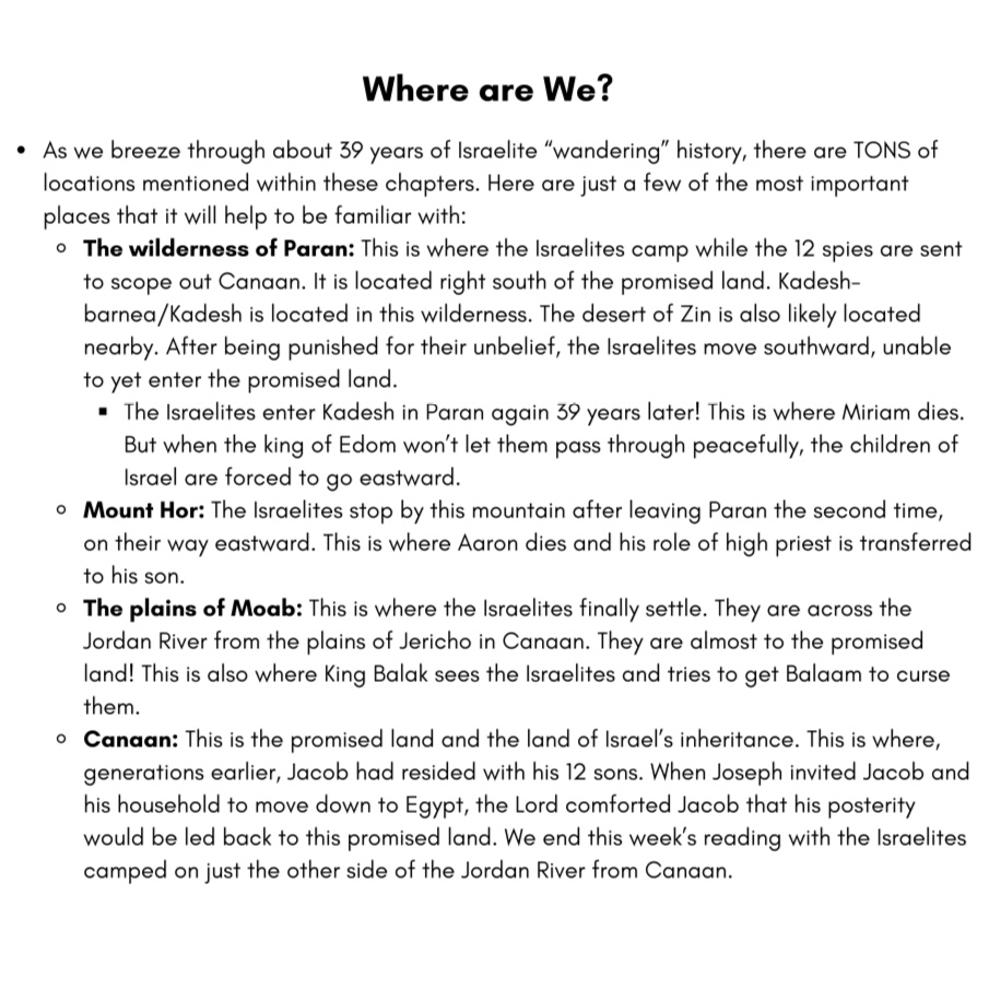 *Old Testament (Q2 Apr-Jun) Big Picture/Little Picture Study Guide *DIGITAL DOWNLOAD* - Image 7