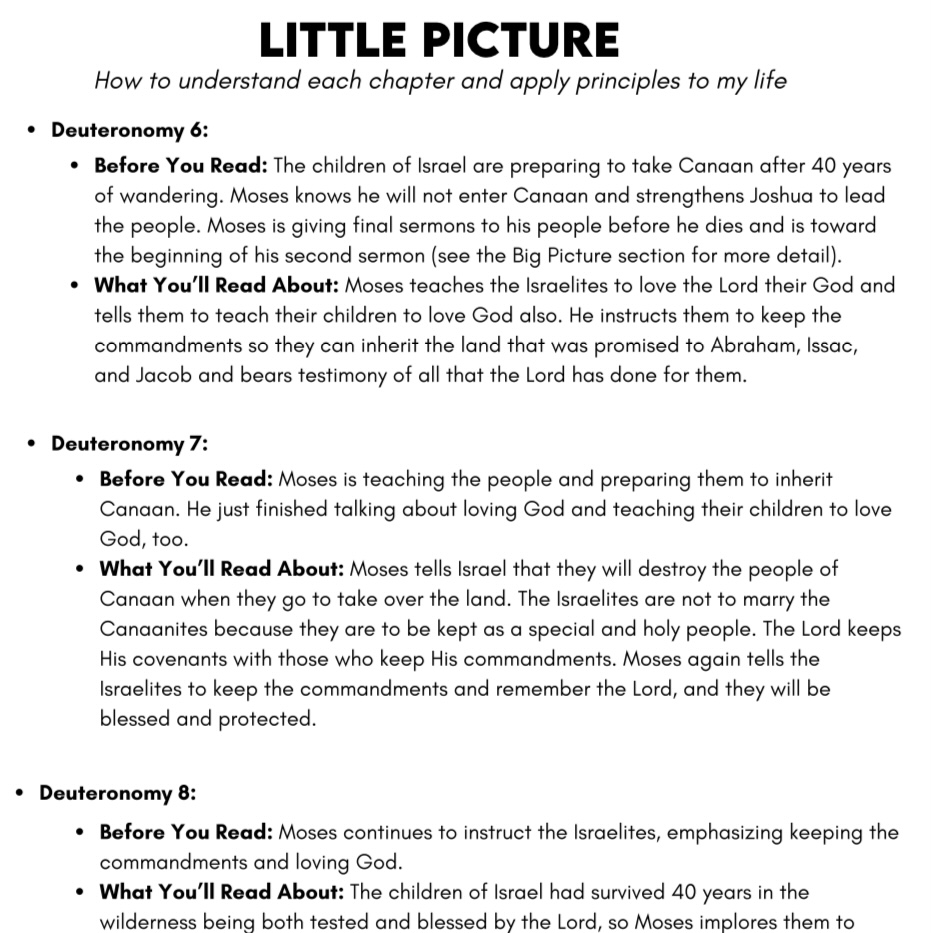 *Old Testament (Q2 Apr-Jun) Big Picture/Little Picture Study Guide *DIGITAL DOWNLOAD* - Image 6
