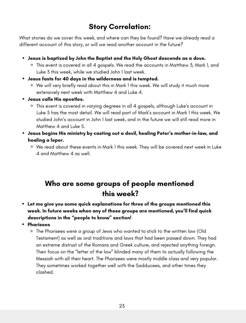 *New Testament (Q1 JAN-MAR) Big Picture/Little Picture Study Guide *DIGITAL DOWNLOAD* - Image 7