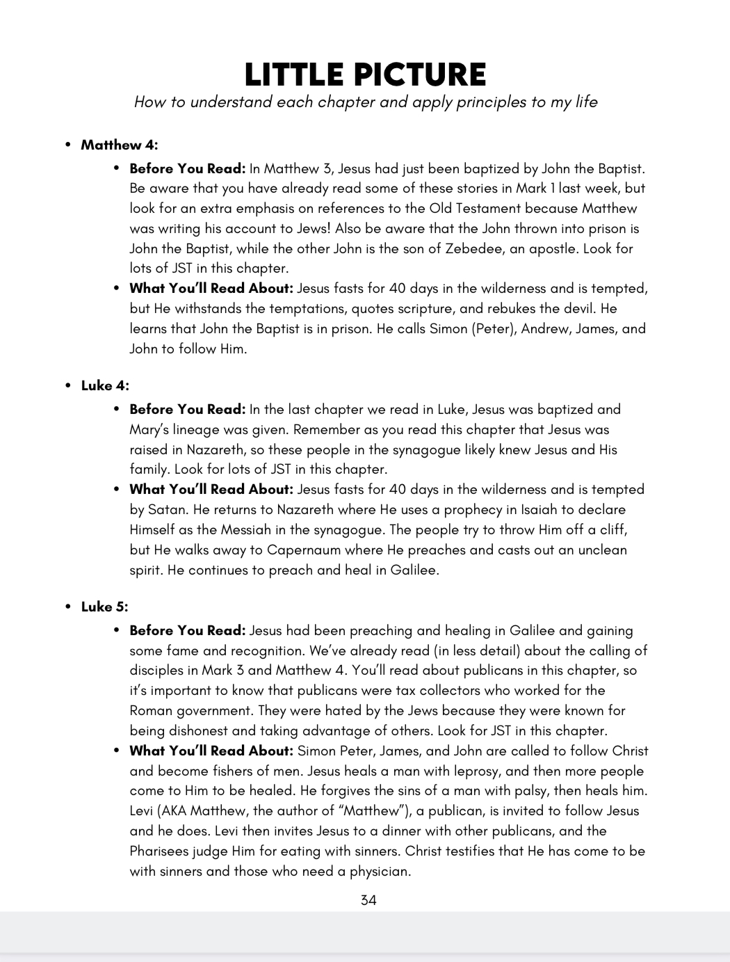 *New Testament (Q1 JAN-MAR) Big Picture/Little Picture Study Guide *DIGITAL DOWNLOAD* - Image 8