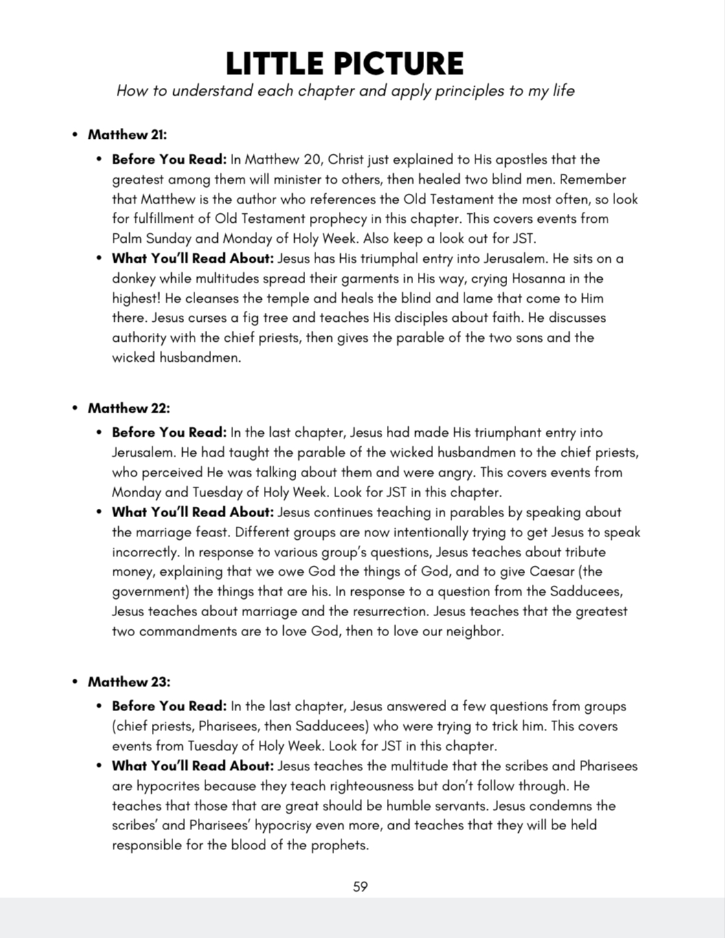 *New Testament (Q2 APR-JUN) Big Picture/Little Picture Study Guide *DIGITAL DOWNLOAD* - Image 6