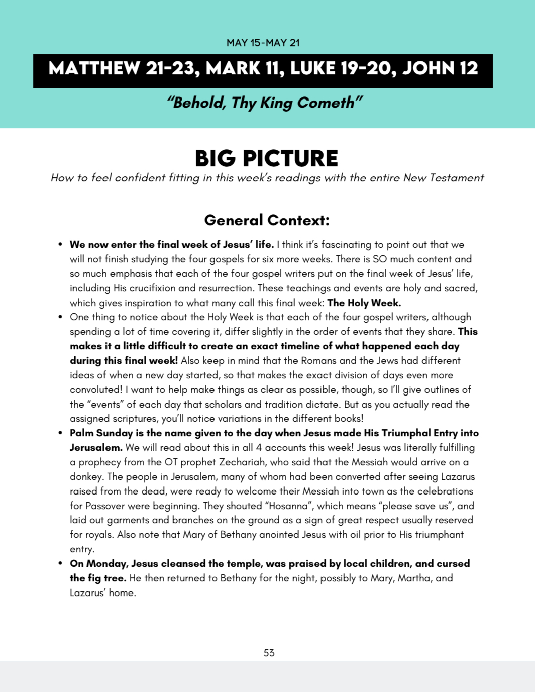 *New Testament (Q2 APR-JUN) Big Picture/Little Picture Study Guide *DIGITAL DOWNLOAD* - Image 2