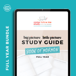 *book of mormon (full year bundle) big picture/little picture study guide set of 4 *digital downloads*
