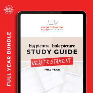 *new testament (Full year bundle) big picture/little picture study guide set of 4 *digital downloads*