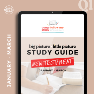 *New Testament (Q1 JAN-MAR) Big Picture/Little Picture Study Guide *DIGITAL DOWNLOAD*