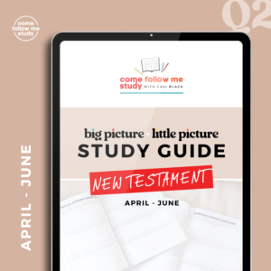 *New Testament (Q2 APR-JUN) Big Picture/Little Picture Study Guide *DIGITAL DOWNLOAD*