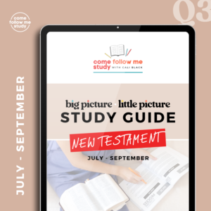 *new testament (q3 jly-sep) big picture/little picture study guide *digital download*