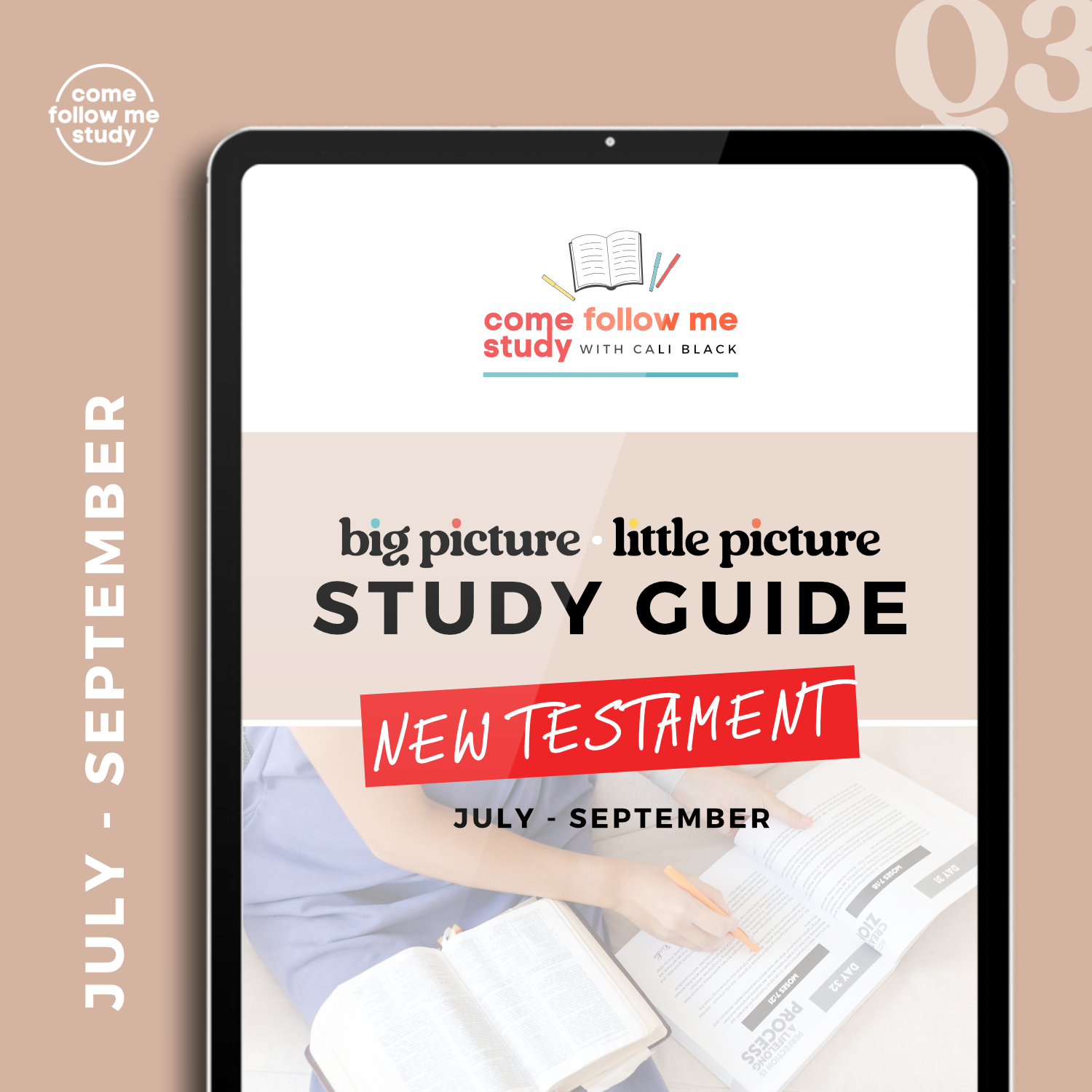 *new testament (q3 jly-sep) big picture/little picture study guide *digital download*