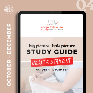*new testament (q4 oct-dec) big picture/little picture study guide *digital download*