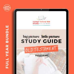 *old testament (full 2026 year bundle) big picture/little picture study guide set of 4 *digital downloads*