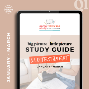 old testament (q1 jan-mar) big picture/little picture study guide *digital download*