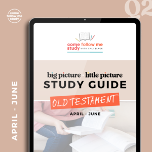 *Old Testament (Q2 Apr-Jun) Big Picture/Little Picture Study Guide *DIGITAL DOWNLOAD*