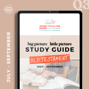 old testament (q3 jul-sep) big picture/little picture study guide *digital download*