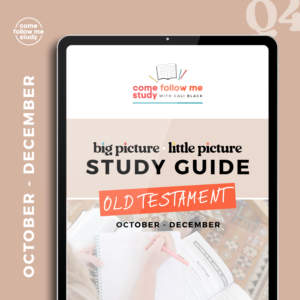 old testament (q4 oct-dec) big picture/little picture study guide *digital download*