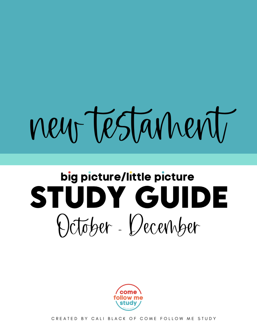 *new testament (q4 oct-dec) big picture/little picture study guide *digital download* - Image 2