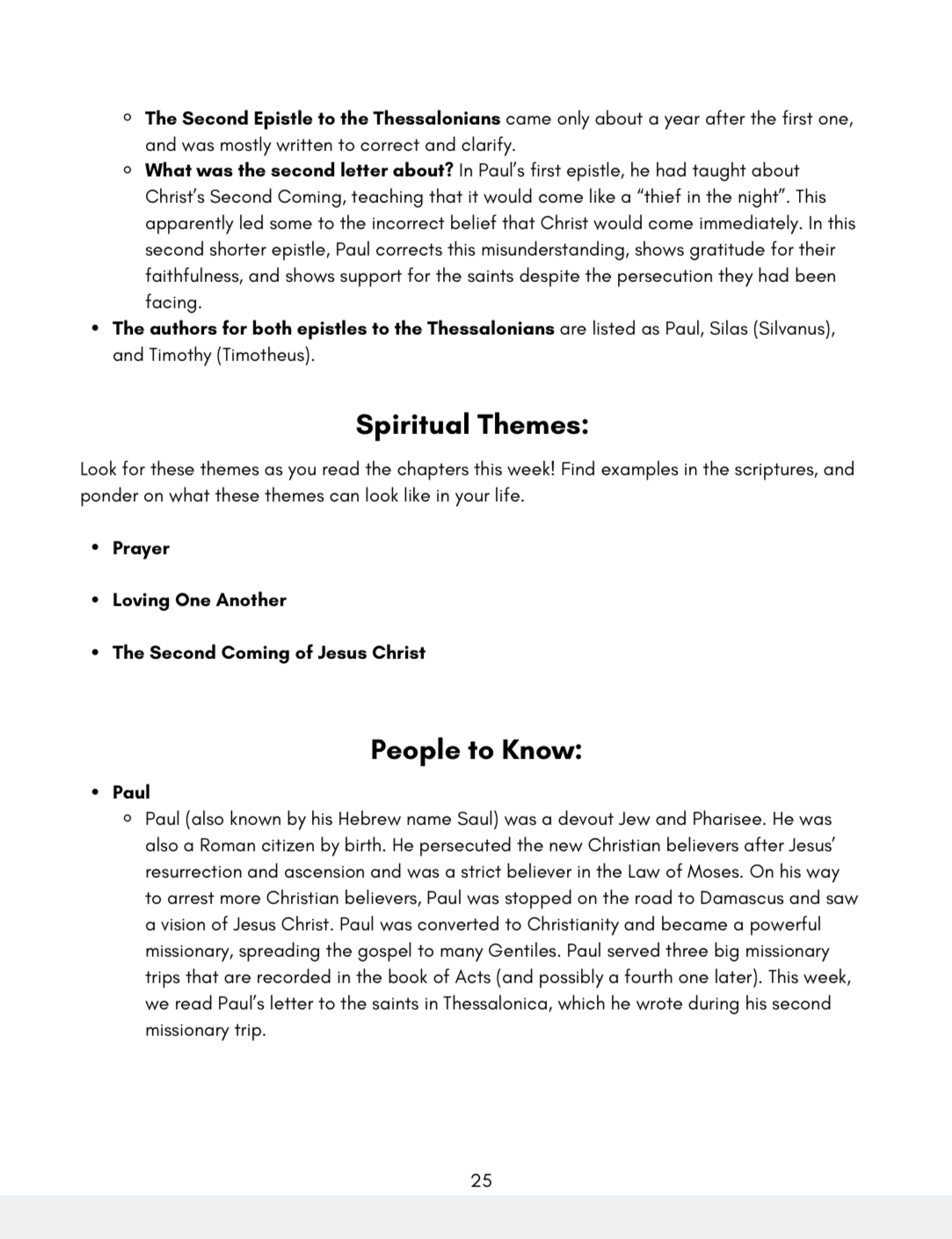 *new testament (Full year bundle) big picture/little picture study guide set of 4 *digital downloads* - Image 3