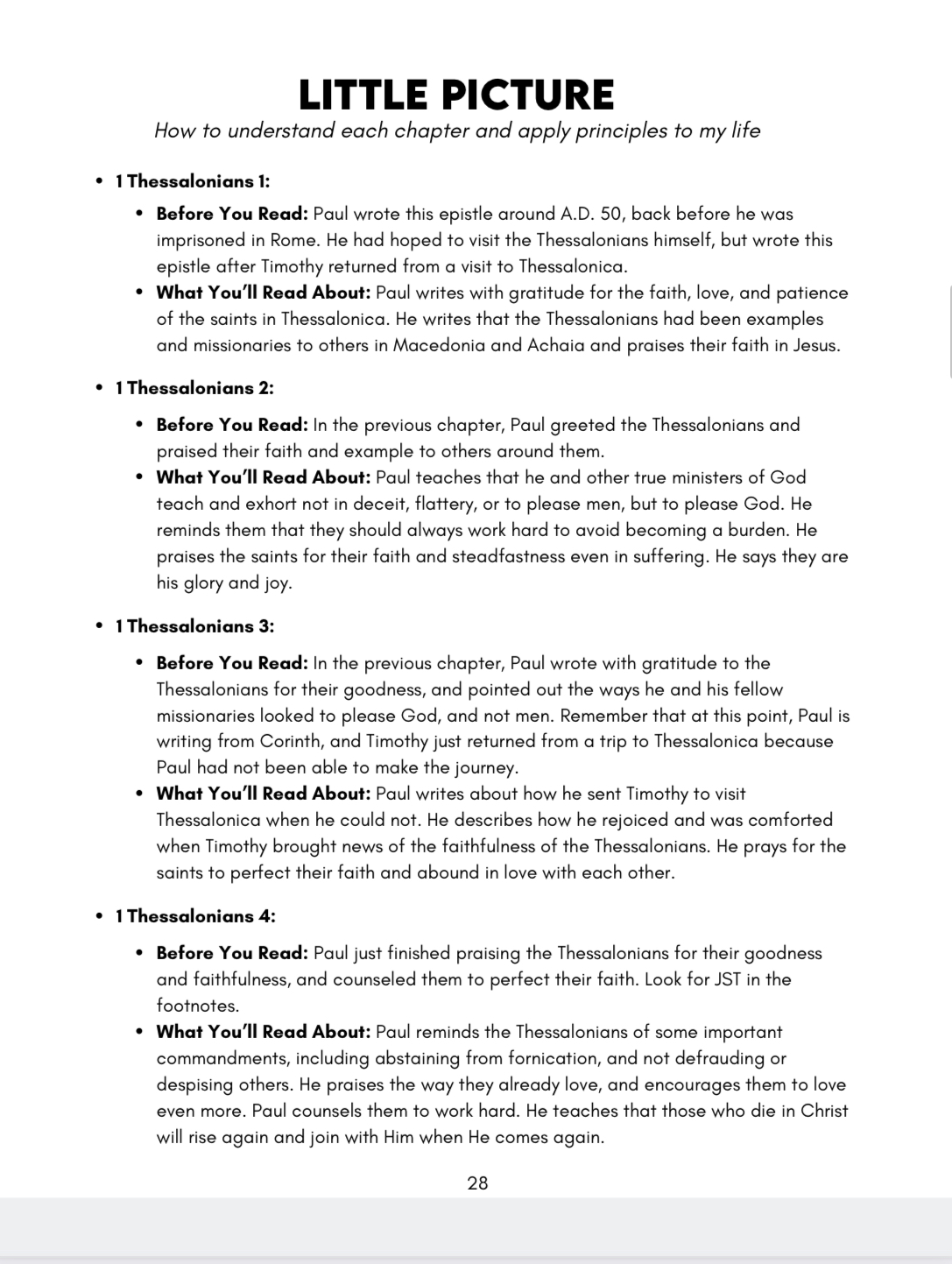 *new testament (Full year bundle) big picture/little picture study guide set of 4 *digital downloads* - Image 5