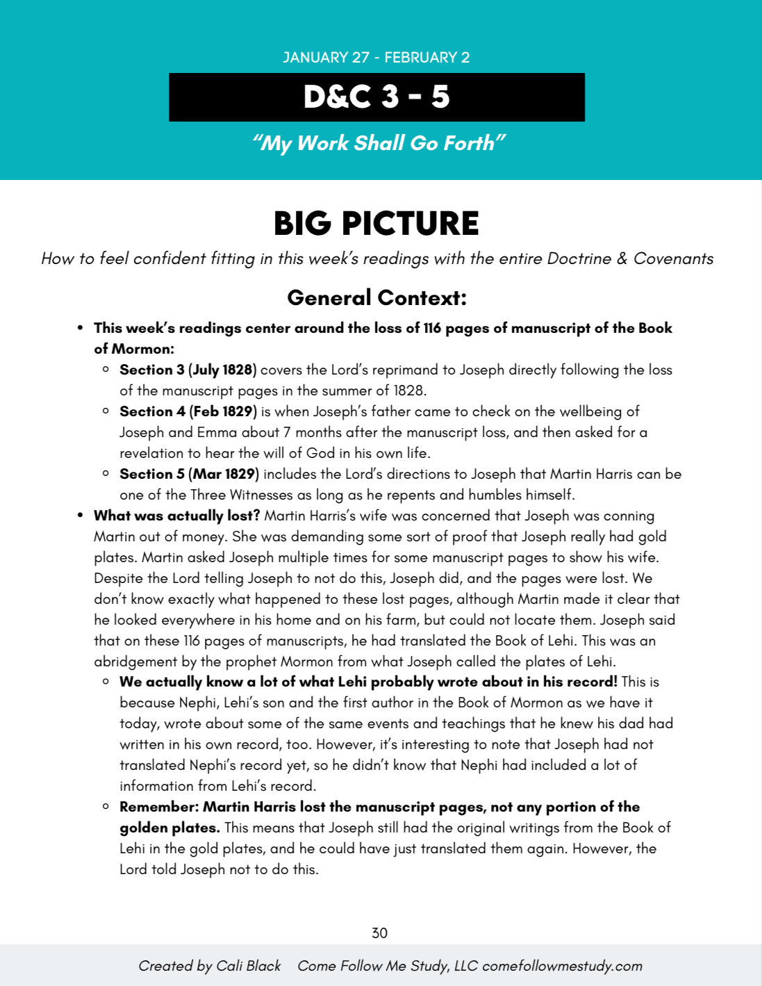 doctrine & covenants (q1 jan-mar) big picture/little picture study guide *digital download* - Image 2