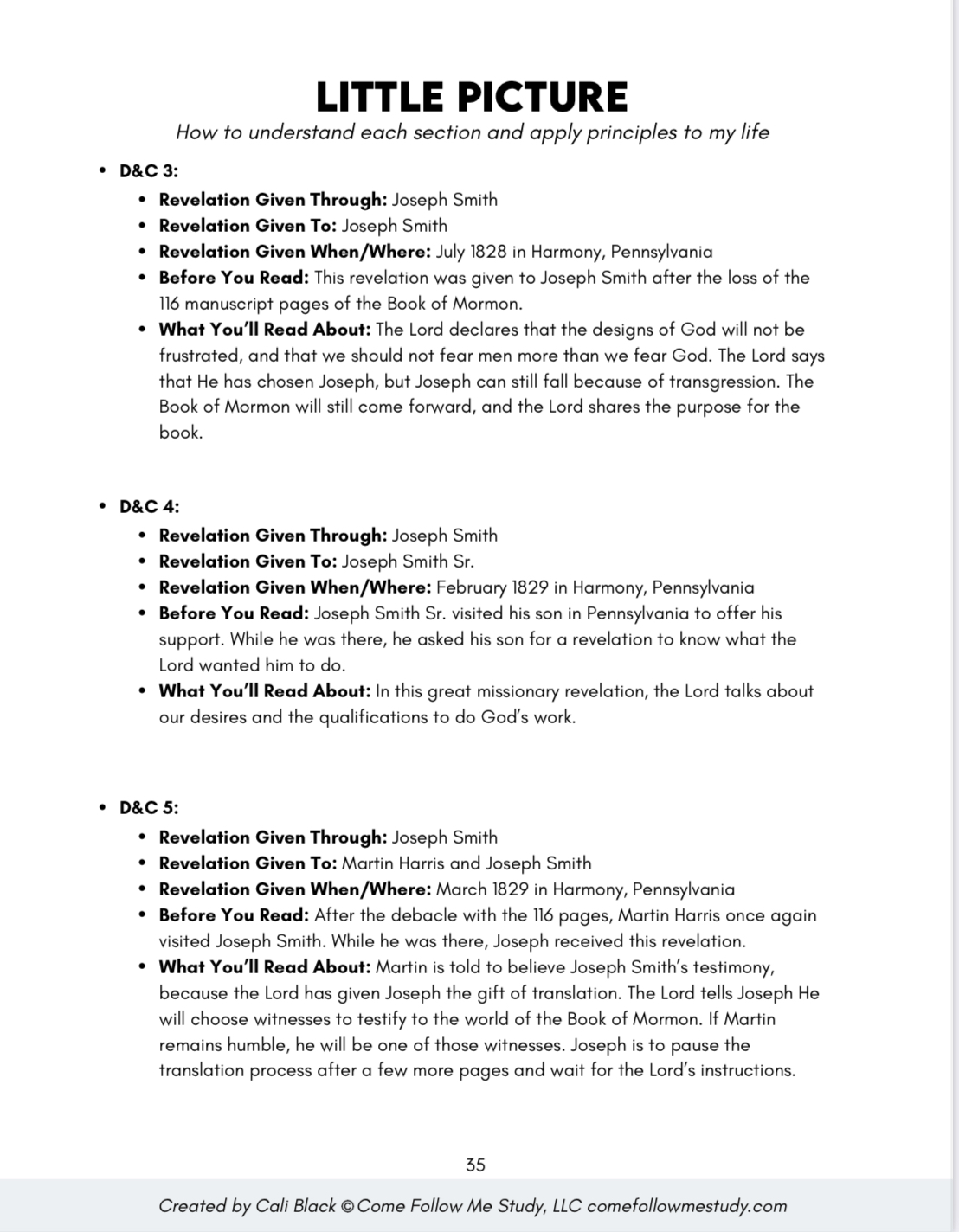 doctrine & covenants (q1 jan-mar) big picture/little picture study guide *digital download* - Image 7