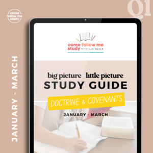 doctrine & covenants (q1 jan-mar) big picture/little picture study guide *digital download*