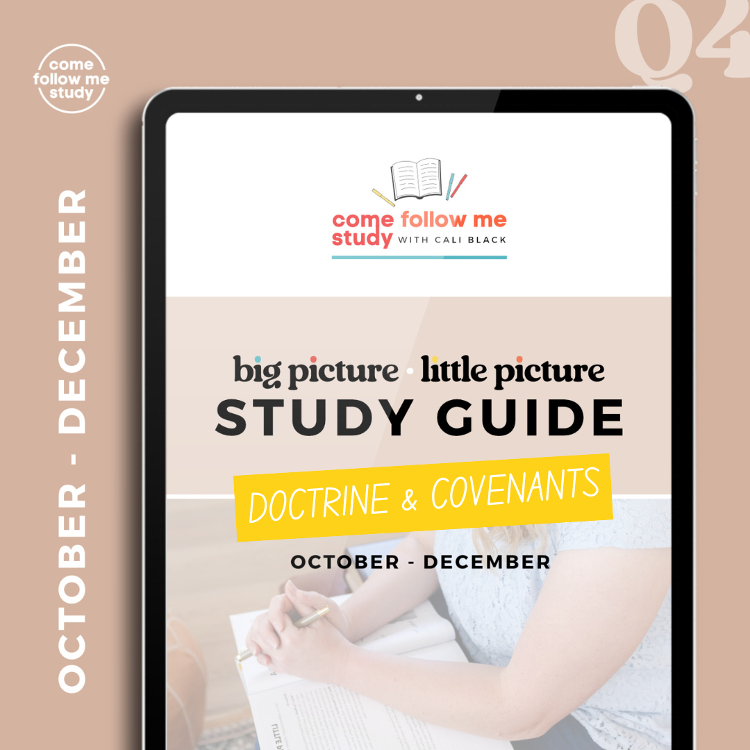 doctrine & covenants (q4 oct-dec) big picture/little picture study guide *digital download*